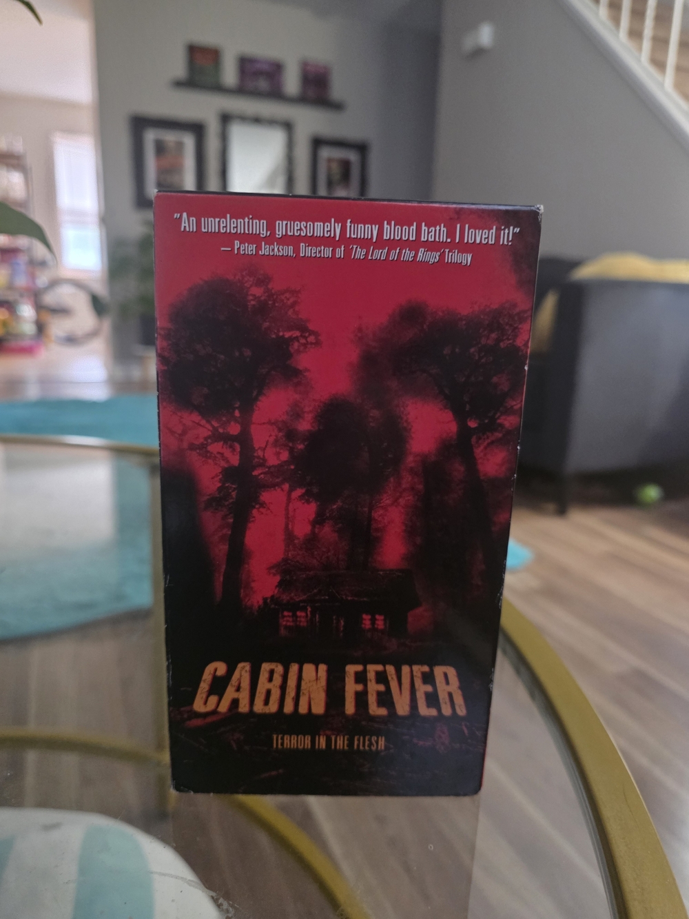 Cabin Fever Horror Movie VHS Box - Red and Black Cover